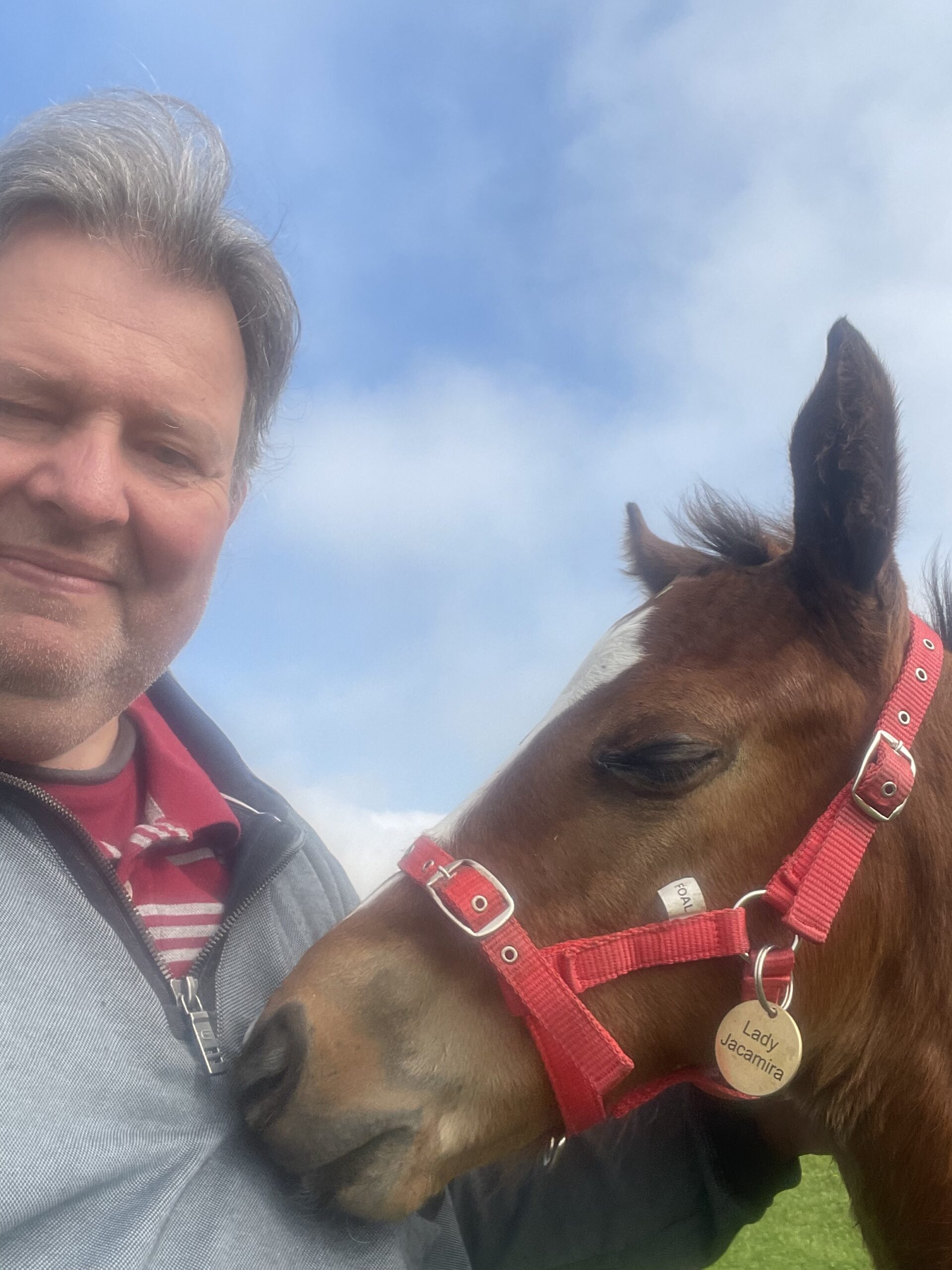 Typ mit Doppelkinn und Fohlen