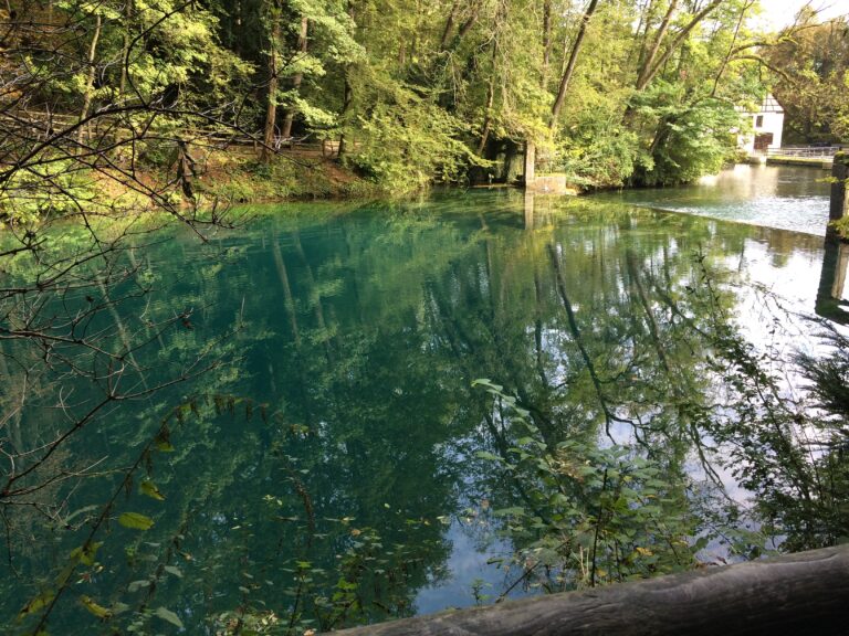 Wasser am Blautopf