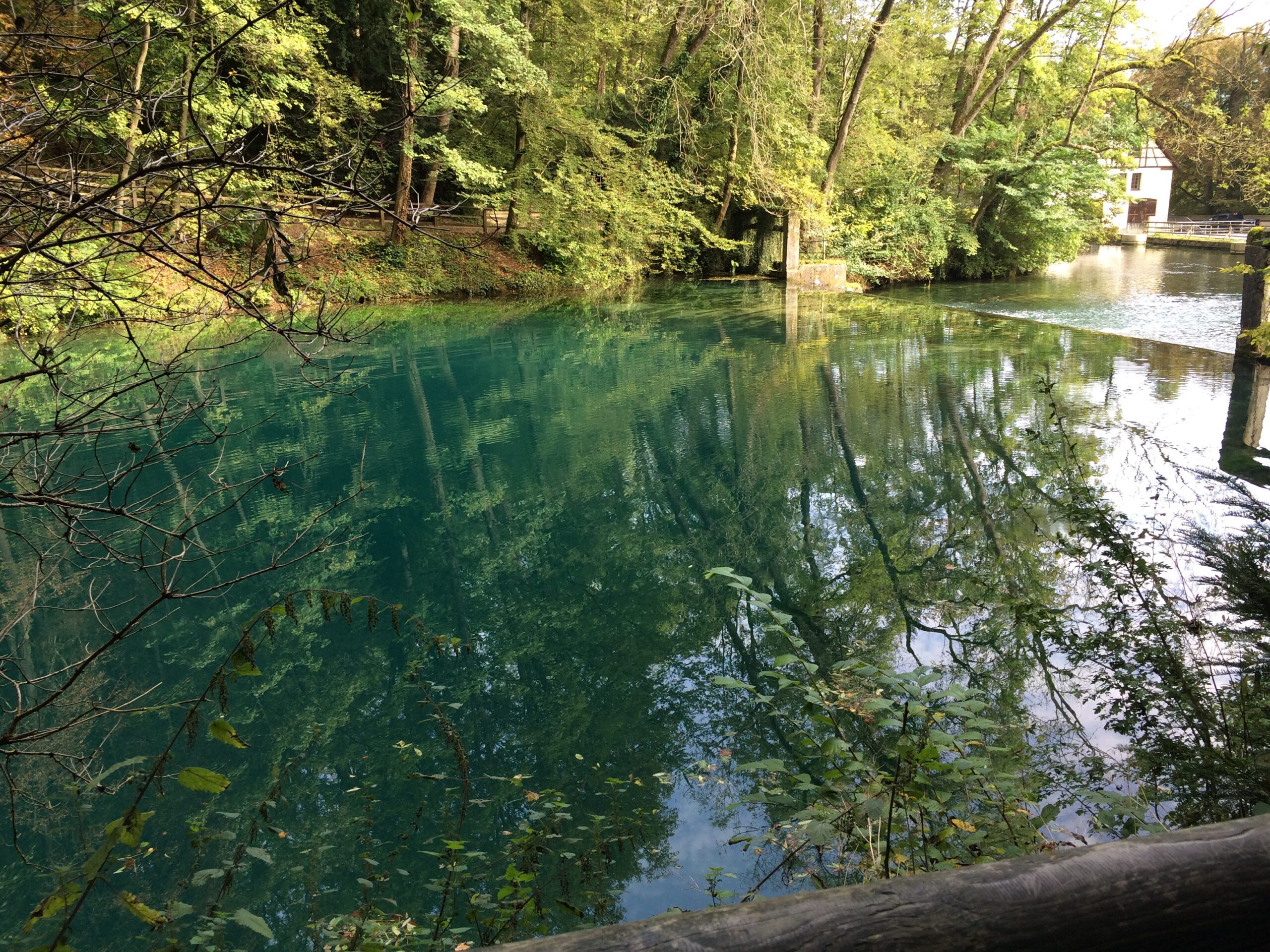 Wasser am Blautopf